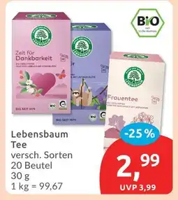 Budni Lebensbaum tee Angebot