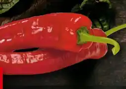 Handelshof Roter Spitzpaprika Angebot