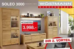 Hofmeister WÖSTMANN SOLEO 3000 Angebot