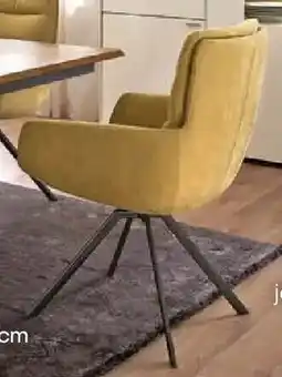 Möbel Martin Armlehnstuhl Angebot