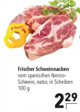 CITTI Markt Frischer Schweinnacken Angebot