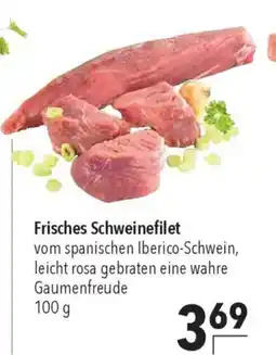 CITTI Markt Frisches Schweinefilet Angebot
