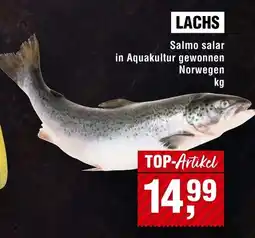 Handelshof Lachs Angebot