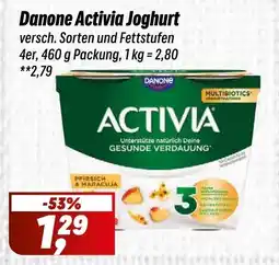 Simmel Danone Activia Joghurt Angebot