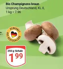 Globus Bio Champignons braun Angebot