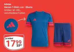Globus Adidas Herren-T-Shirt oder -Shorts Angebot