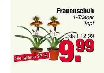 Edeka Scherer Frauenschuh Angebot