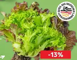 Kaufland Salat Multicolor Angebot