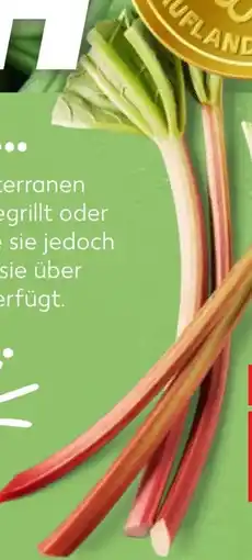 Kaufland Rhabarber Angebot