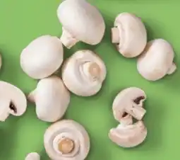 Kaufland Kulturchampignons Angebot