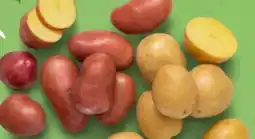 Kaufland Parmentine Gourmet-Kartoffeln Angebot