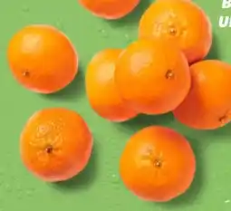 Kaufland Mandarinen Angebot