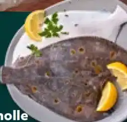 Kaufland Scholle Angebot