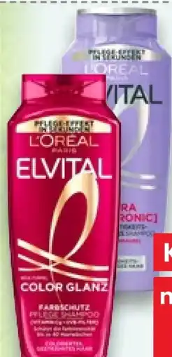 Kaufland L'Oréal Paris Elvital Shampoo Angebot