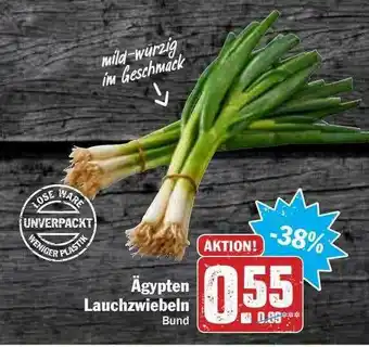 Hit ägypten Lauchzwiebeln Angebot