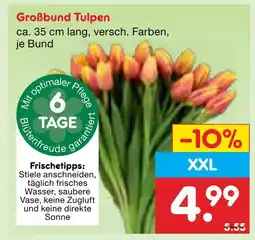 Netto Marken-Discount Großbund tulpen Angebot