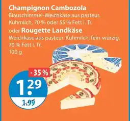 V Markt Champignon cambozola Angebot