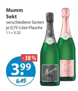 V Markt Mumm sekt Angebot