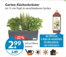 V Markt Garten-küchenkräuter Angebot