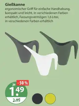 V Markt Gießkanne Angebot