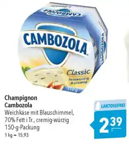CITTI Markt Champignon Cambozola Angebot