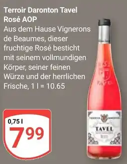 Globus Terroir Daronton Tavel Rosé AOP Angebot