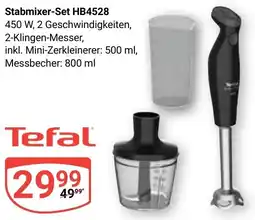 Globus Tefal Stabmixer-Set HB4528 Angebot