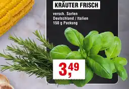 Handelshof Kräuter frisch Angebot