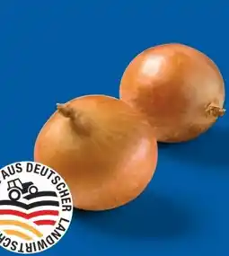 Lidl Zwiebeln Angebot