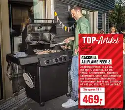Handelshof RÖSLE Gasgrill allflame peer 3 Angebot