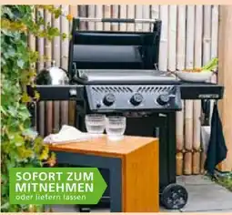 Segmüller Napoleon Gasgrill Freestyle 24 Plancha Angebot