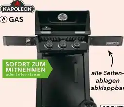 Segmüller Napoleon Grill Gasgrill Freestyle 365 Angebot