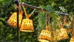 Segmüller NewGarden Lichterkette Aurora Guirnalda Angebot