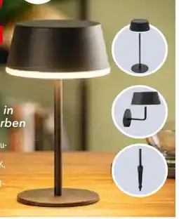 Segmüller Akku-Tischleuchte Bellatrix Angebot