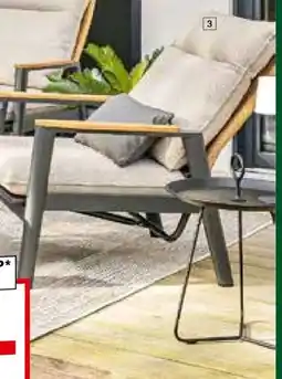 Segmüller Gartensessel Salines Angebot