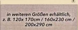 Segmüller Outdoorteppich Oslo II Angebot