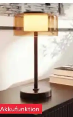 Segmüller Paul Neuhaus Tischleuchte Rika Angebot