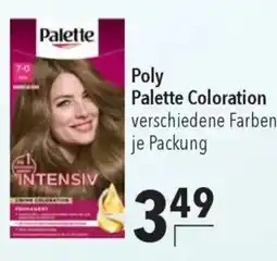 CITTI Markt Poly Palette Coloration Angebot