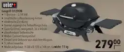 CITTI Markt weber Gasgrill Q1200N Angebot
