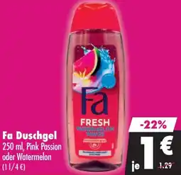 Mäc Geiz Fa Duschgel Angebot