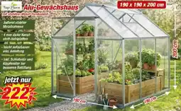 Posten Börse Top Flora Alu-Gewächshaus Angebot