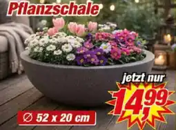 Posten Börse Pflanzschale Angebot