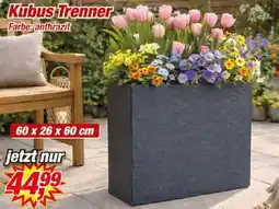Posten Börse Kubus Trenner Angebot