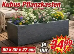 Posten Börse Kubus Pflanzkasten Angebot
