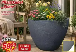 Posten Börse Pflanzkübel „Stone" Angebot