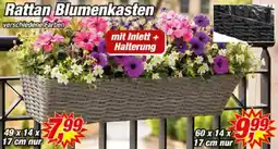 Posten Börse Rattan Blumenkasten Angebot