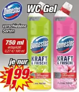 Posten Börse Domestos WC Gel Angebot