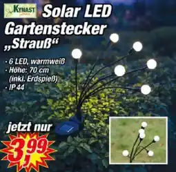 Posten Börse KYNAST Solar LED Gartenstecker „Strauß" Angebot