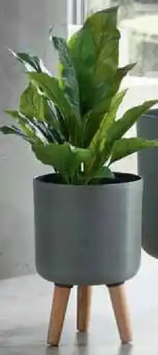 Zurbrüggen Blumentopf aus Kunststoff Angebot