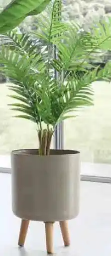 Zurbrüggen Blumentopf aus Kunststoff Angebot